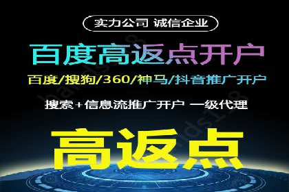 百度SEM广告投放的五大成功案例分享